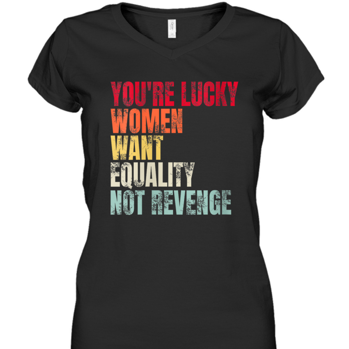 Womens You're Lucky Women Want Equality Not Revenge T-Shirt Womens You're Lucky Women Want Equality Not Revenge T-Shirt