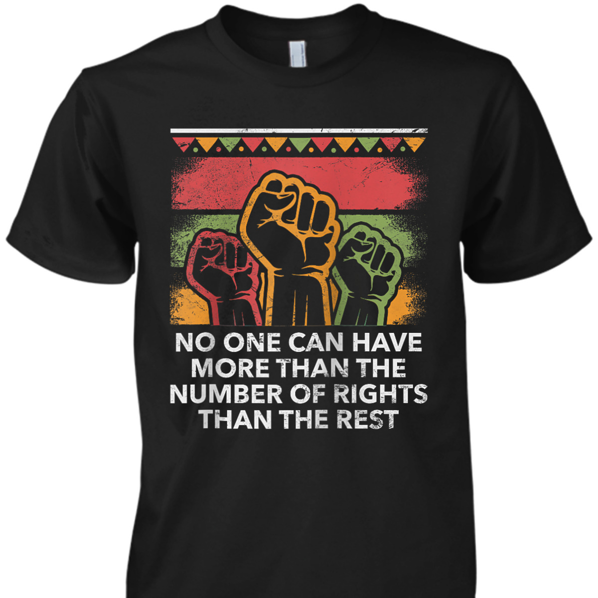 No One Can Have More Social Justice Human Rights Equality T-Shirt