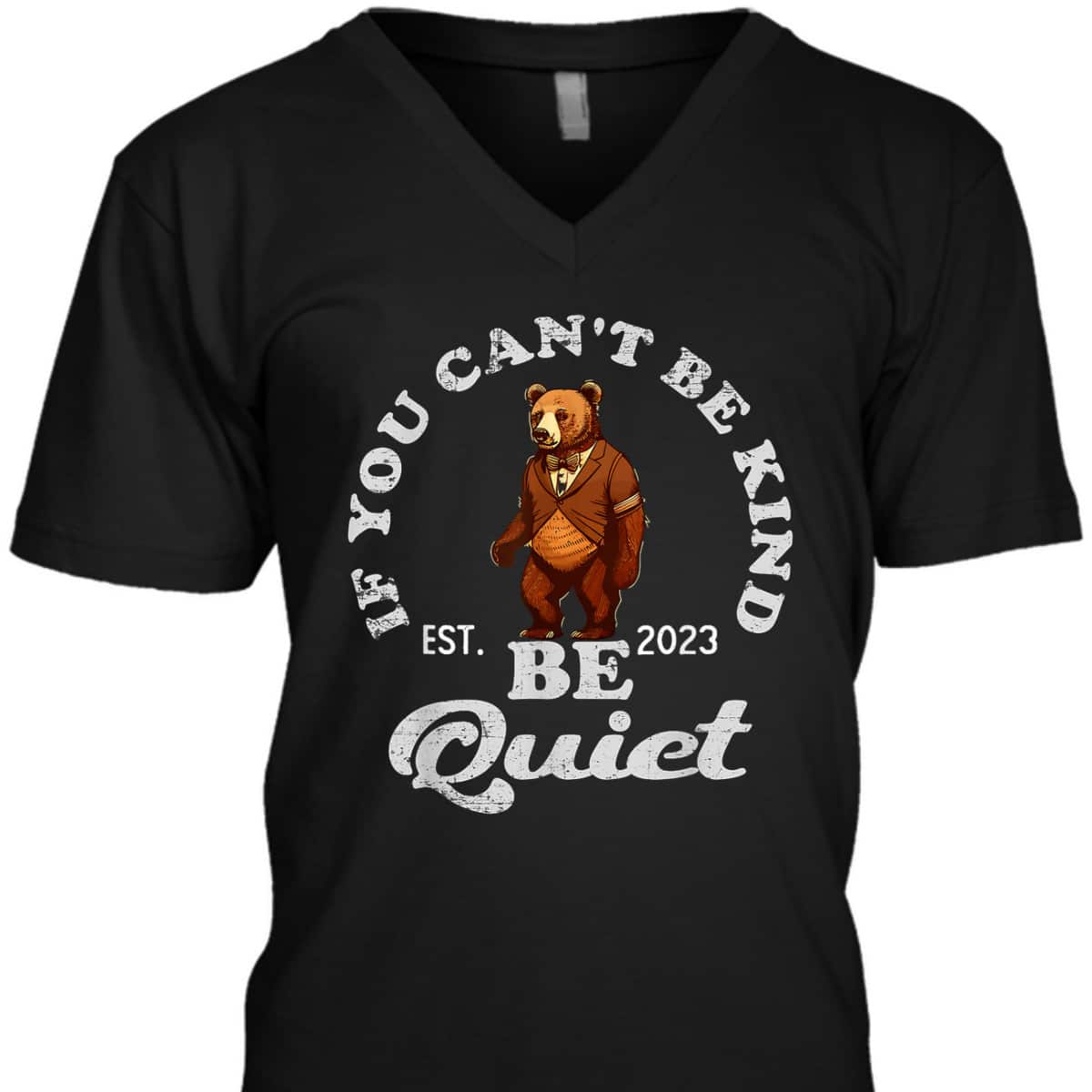 If You Can't Be Kind Be Quiet Funny Sarcastic Kindness Quote T-Shirt