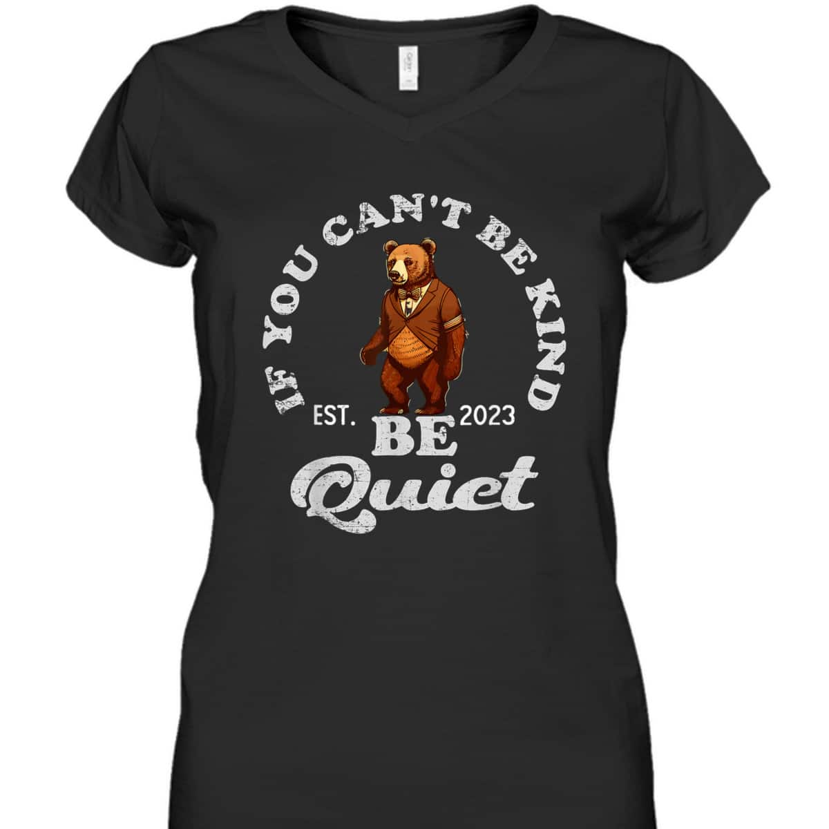 If You Can't Be Kind Be Quiet Funny Sarcastic Kindness Quote T-Shirt