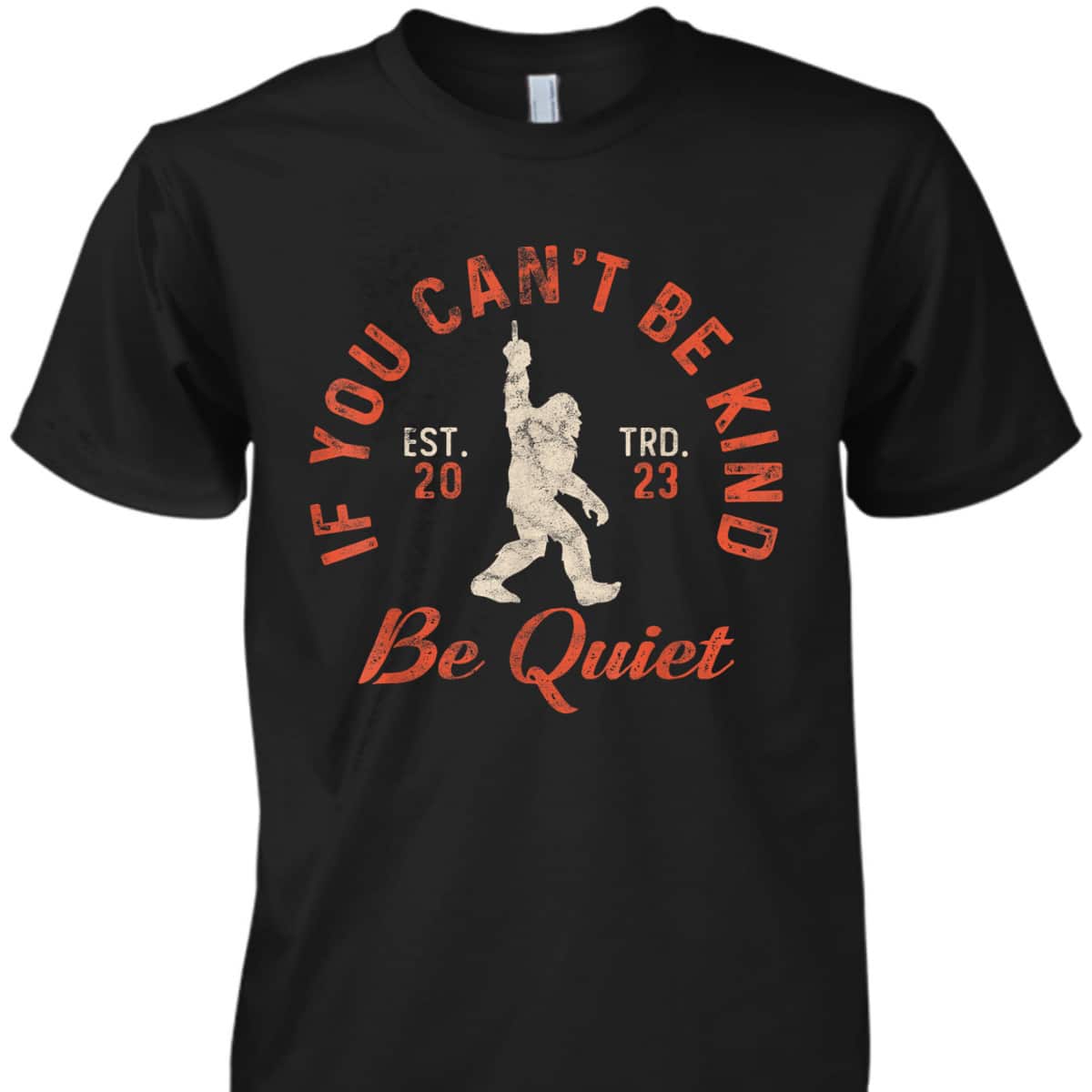 If You Can't Be Kind Be Quiet Sassy Sarcastic Kindness Quote T-Shirt