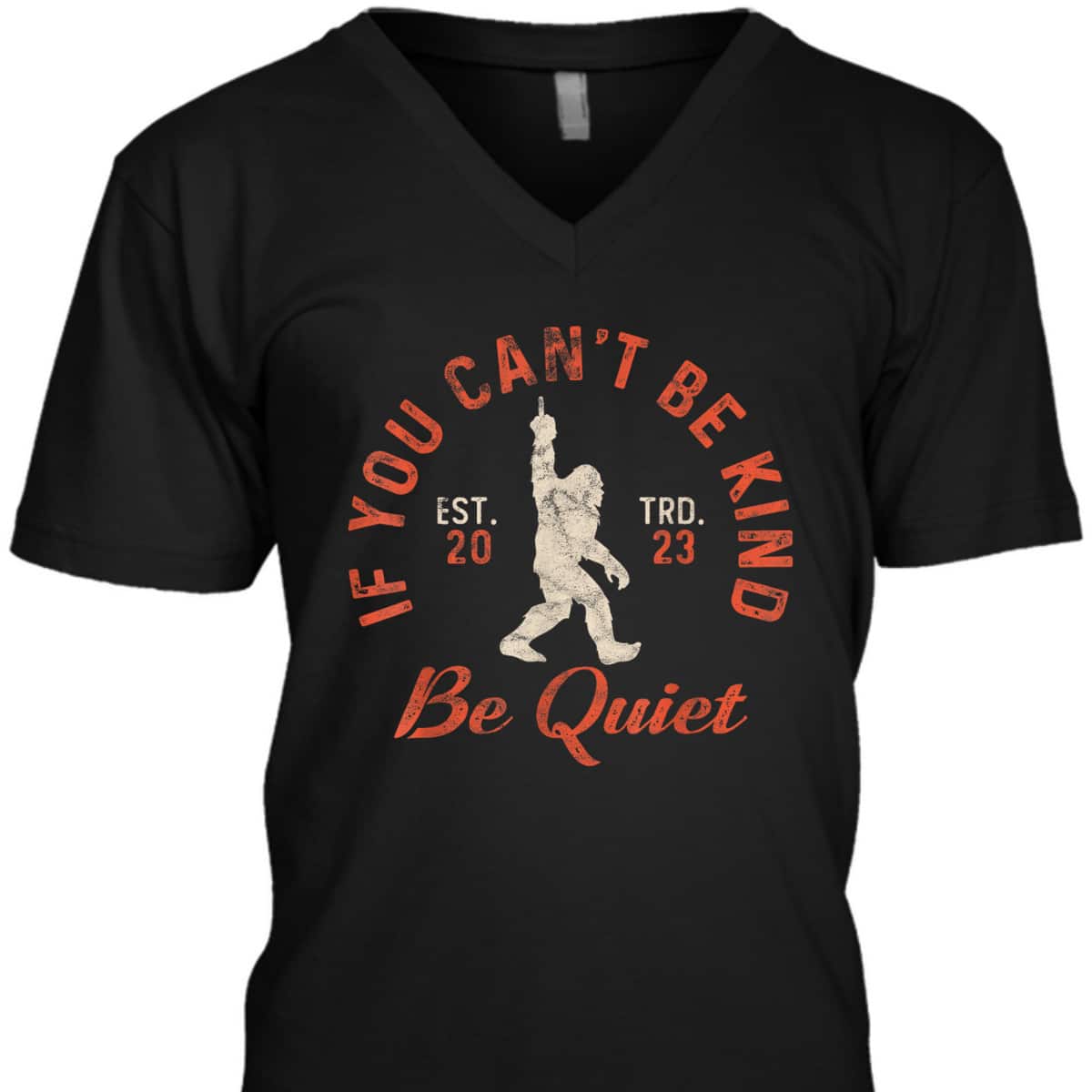 If You Can't Be Kind Be Quiet Sassy Sarcastic Kindness Quote T-Shirt If You Can't Be Kind Be Quiet Sassy Sarcastic Kindness Quote T-Shirt