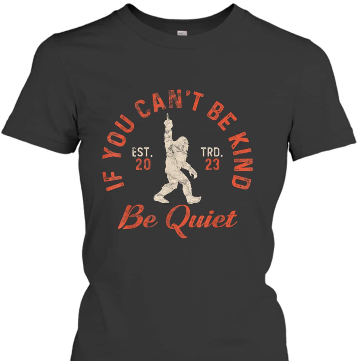 If You Can't Be Kind Be Quiet Sassy Sarcastic Kindness Quote T-Shirt If You Can't Be Kind Be Quiet Sassy Sarcastic Kindness Quote T-Shirt