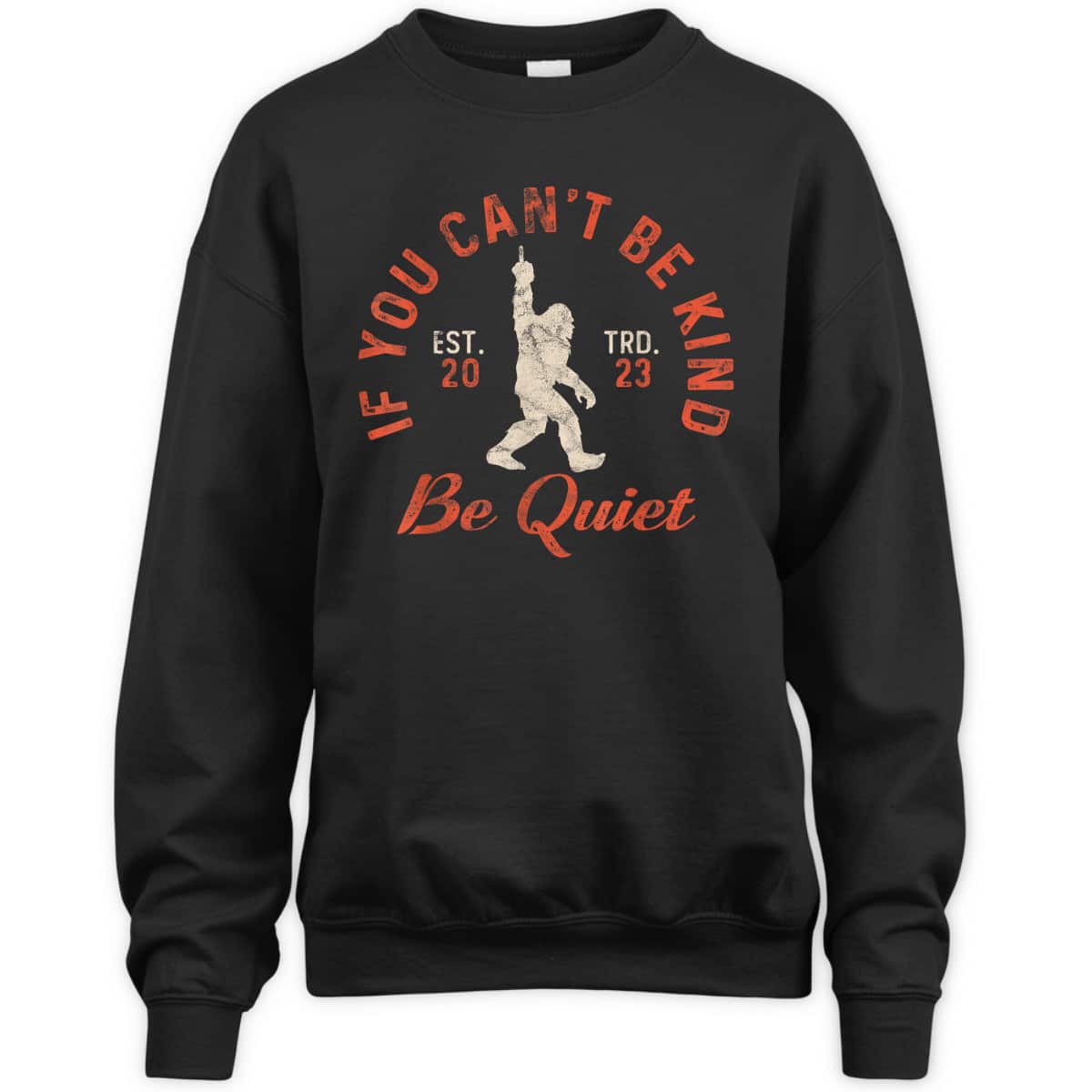 If You Can't Be Kind Be Quiet Sassy Sarcastic Kindness Quote T-Shirt