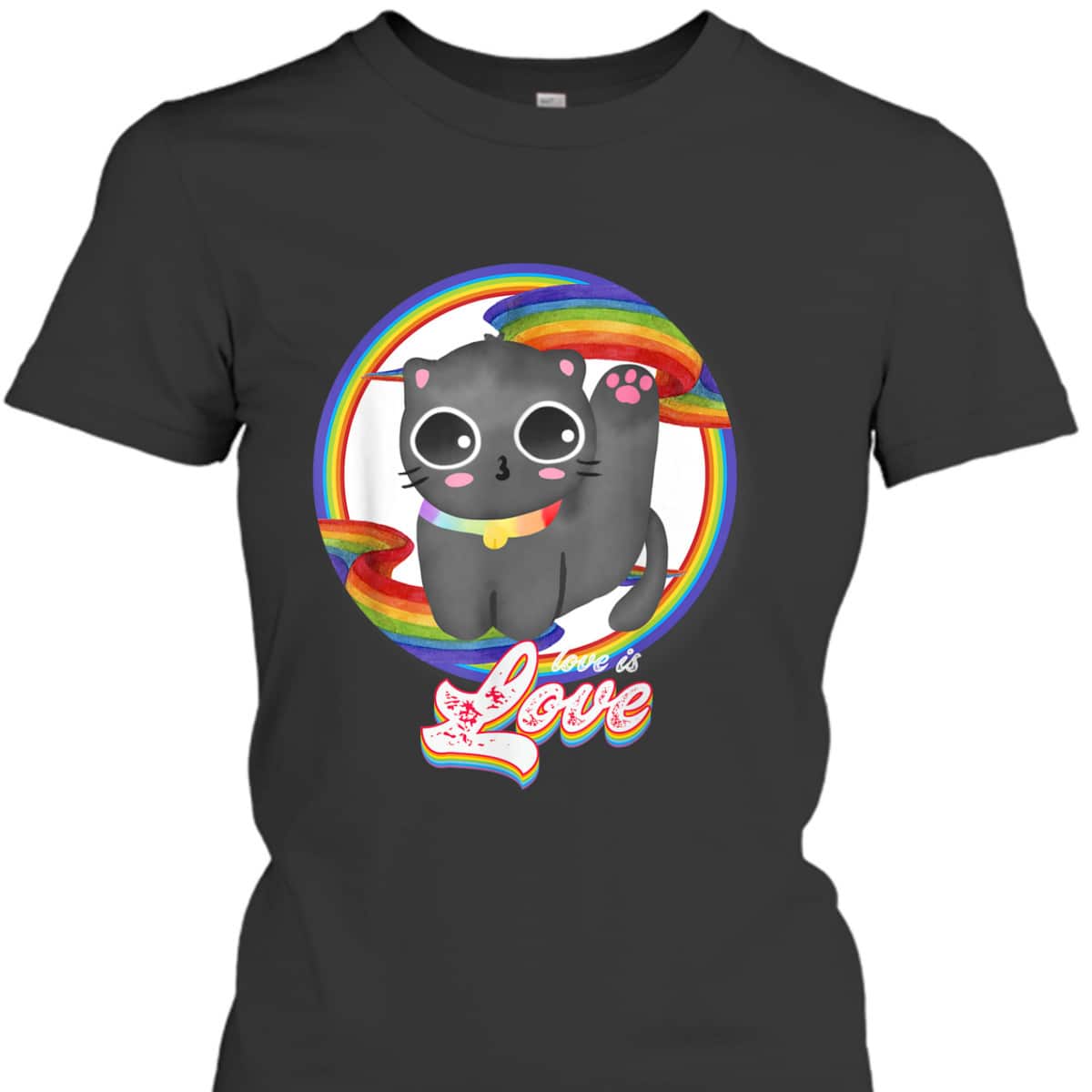 LGBT Ally Cat Be Kind Gay Rainbow Funny LGBTQ Flag Gay Pride T-Shirt LGBT Ally Cat Be Kind Gay Rainbow Funny LGBTQ Flag Gay Pride T-Shirt