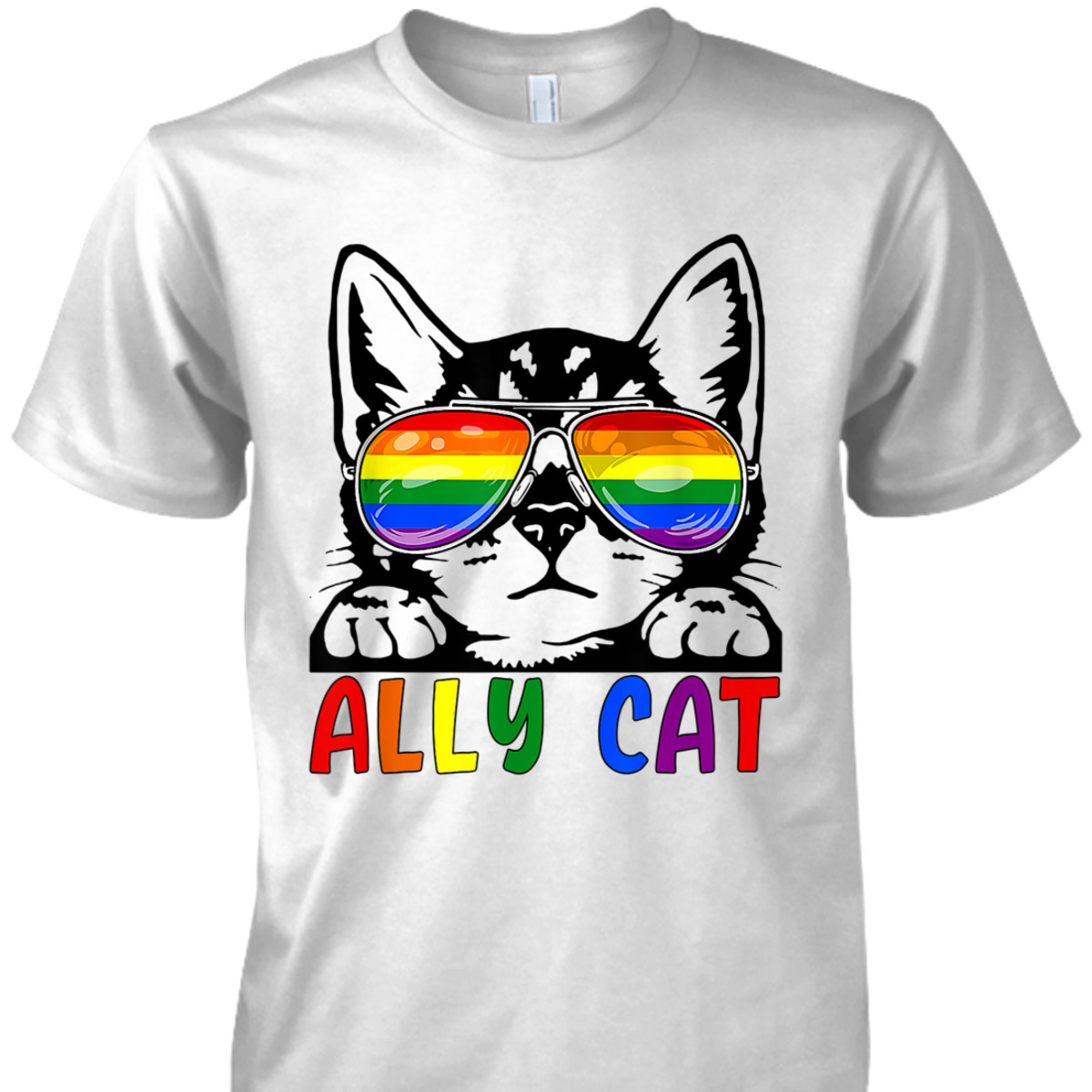 LGBT Ally Cat Be Kind Gay Rainbow Funny LGBTQ T-Shirt