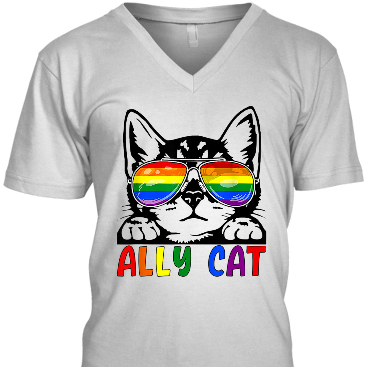 LGBT Ally Cat Be Kind Gay Rainbow Funny LGBTQ T-Shirt