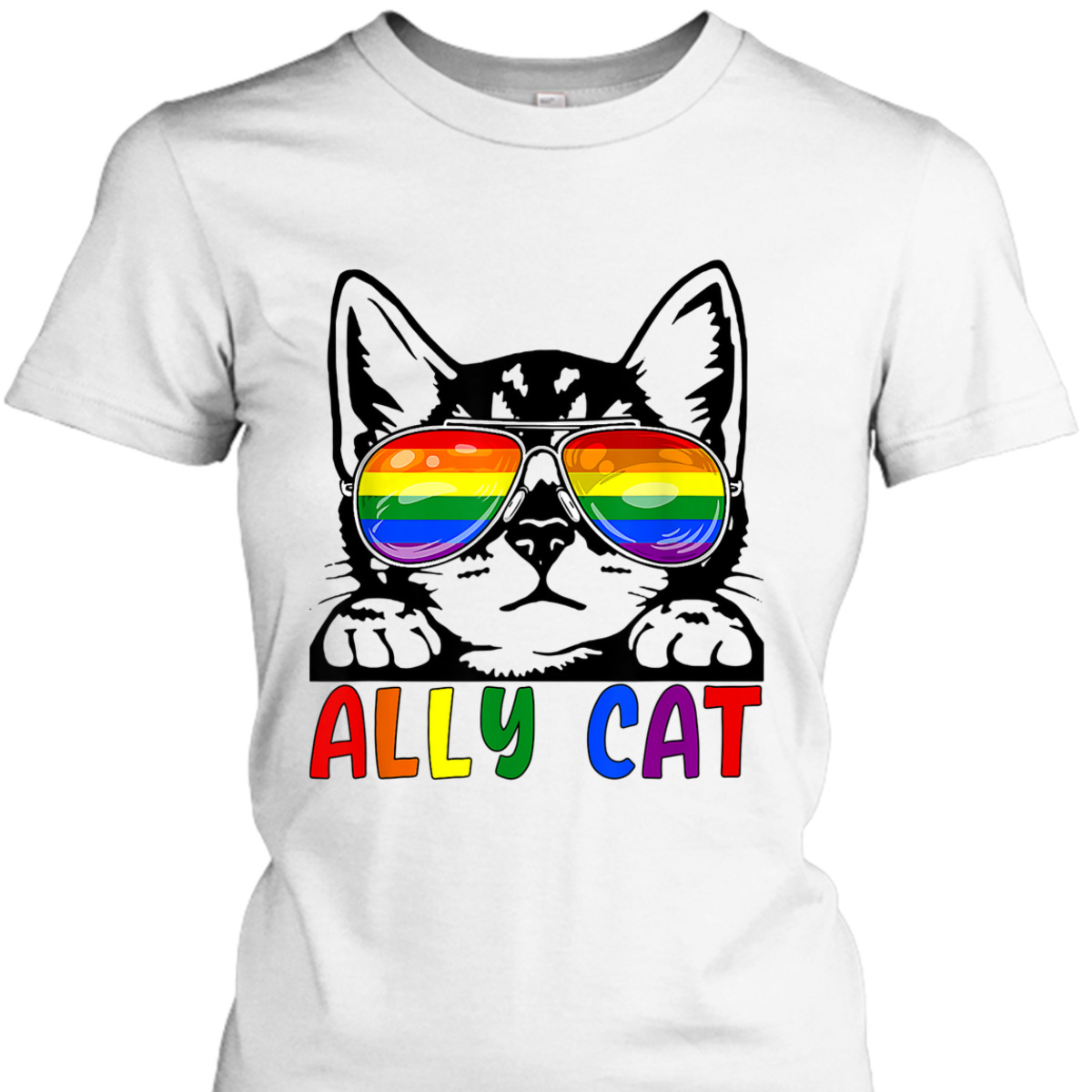 LGBT Ally Cat Be Kind Gay Rainbow Funny LGBTQ T-Shirt LGBT Ally Cat Be Kind Gay Rainbow Funny LGBTQ T-Shirt