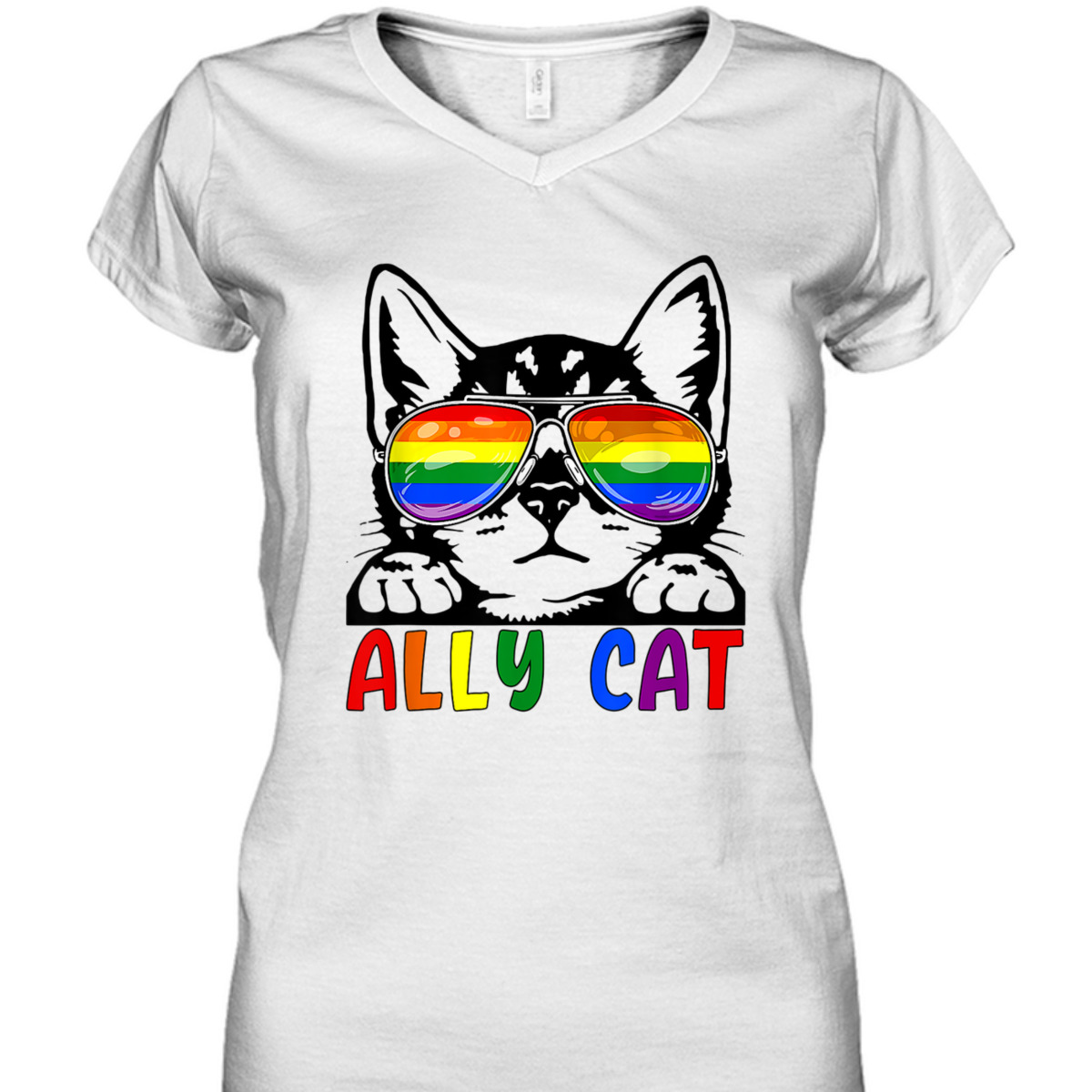LGBT Ally Cat Be Kind Gay Rainbow Funny LGBTQ T-Shirt LGBT Ally Cat Be Kind Gay Rainbow Funny LGBTQ T-Shirt