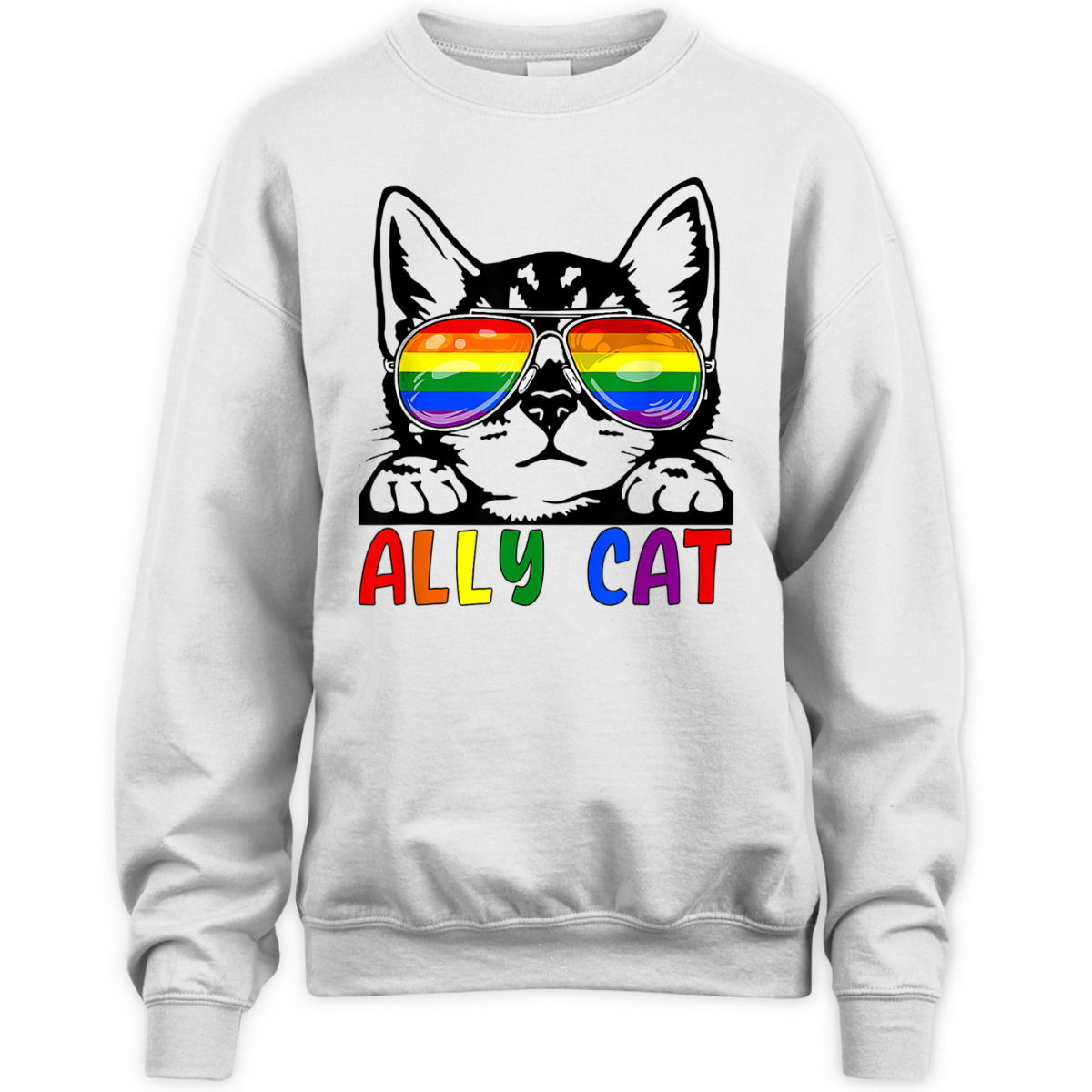 LGBT Ally Cat Be Kind Gay Rainbow Funny LGBTQ T-Shirt LGBT Ally Cat Be Kind Gay Rainbow Funny LGBTQ T-Shirt