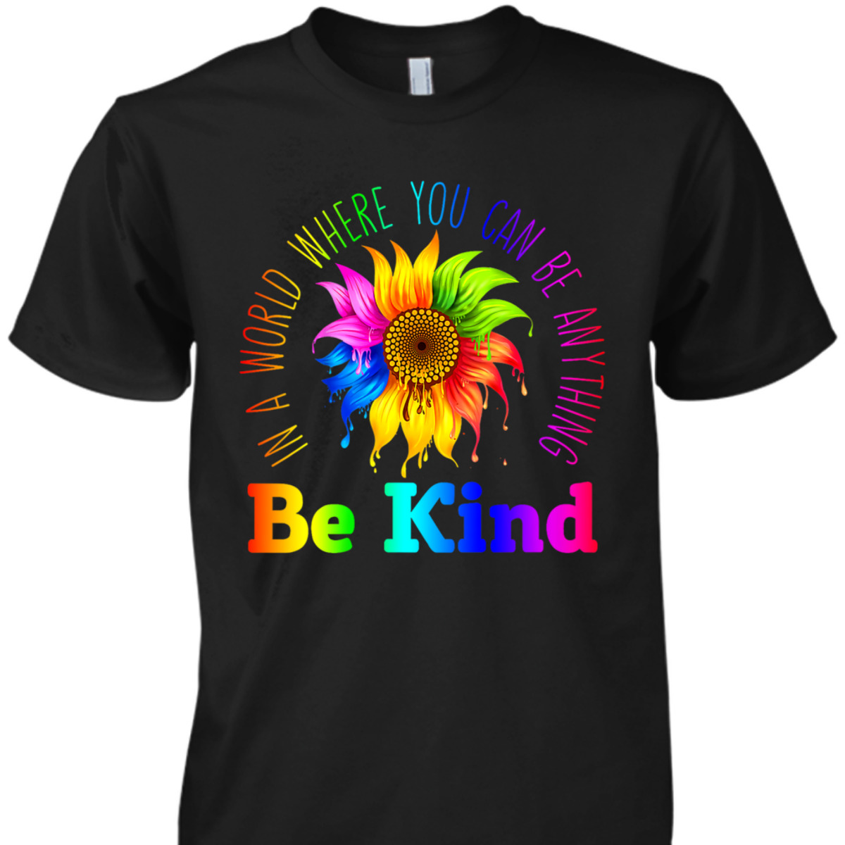 Womens In A World Where You Can Be Anything BE KIND LGBT Rainbow T-Shirt