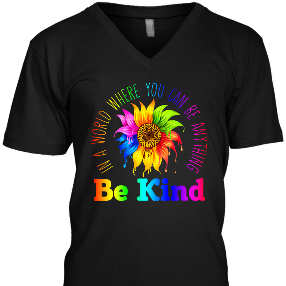 Womens In A World Where You Can Be Anything BE KIND LGBT Rainbow T-Shirt Womens In A World Where You Can Be Anything BE KIND LGBT Rainbow T-Shirt