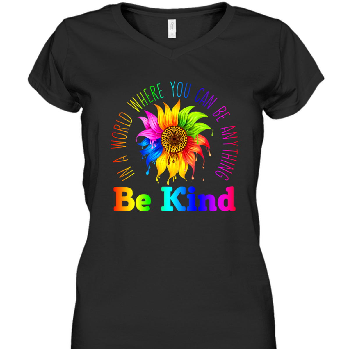 Womens In A World Where You Can Be Anything BE KIND LGBT Rainbow T-Shirt Womens In A World Where You Can Be Anything BE KIND LGBT Rainbow T-Shirt