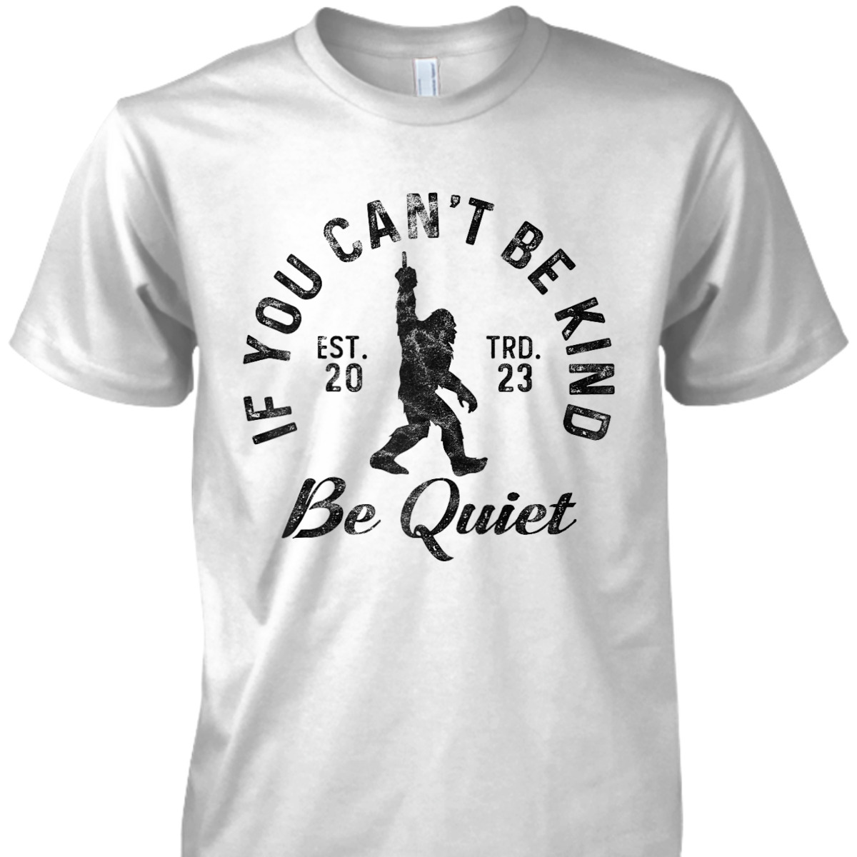 If You Can't Be Kind Be Quiet Sarcastic Kindness Joke T-Shirt