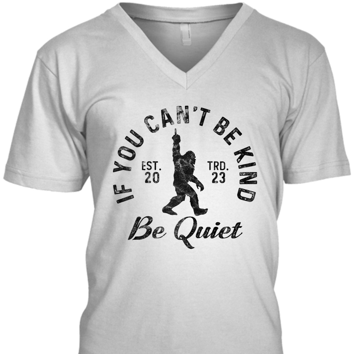 If You Can't Be Kind Be Quiet Sarcastic Kindness Joke T-Shirt If You Can't Be Kind Be Quiet Sarcastic Kindness Joke T-Shirt