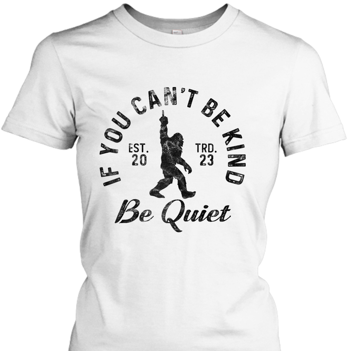 If You Can't Be Kind Be Quiet Sarcastic Kindness Joke T-Shirt