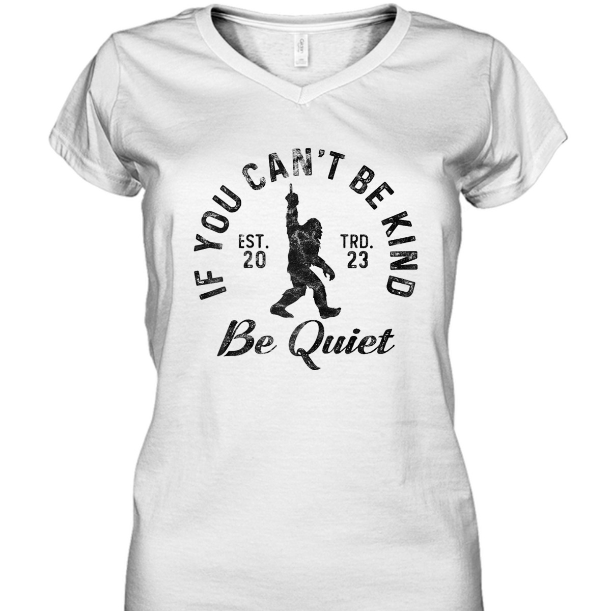 If You Can't Be Kind Be Quiet Sarcastic Kindness Joke T-Shirt If You Can't Be Kind Be Quiet Sarcastic Kindness Joke T-Shirt