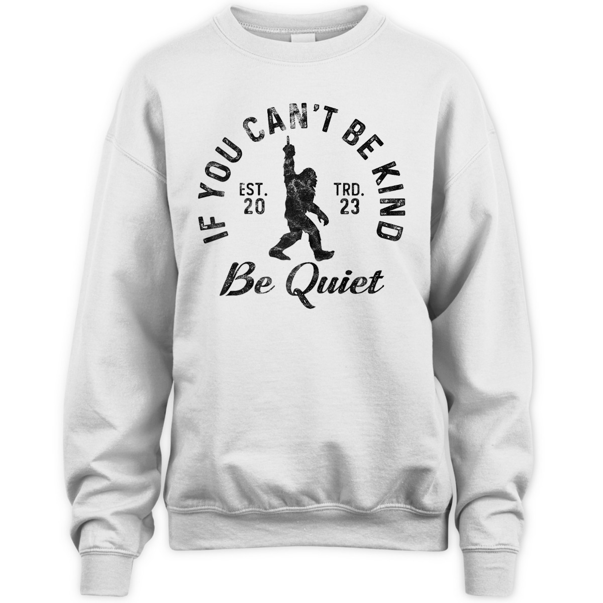 If You Can't Be Kind Be Quiet Sarcastic Kindness Joke T-Shirt