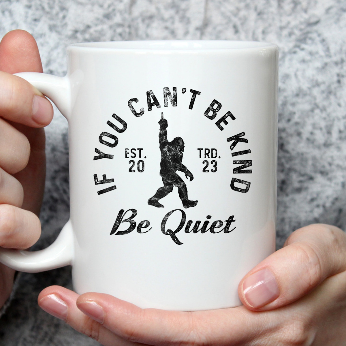 If You Can't Be Kind Be Quiet Sarcastic Kindness Joke T-Shirt