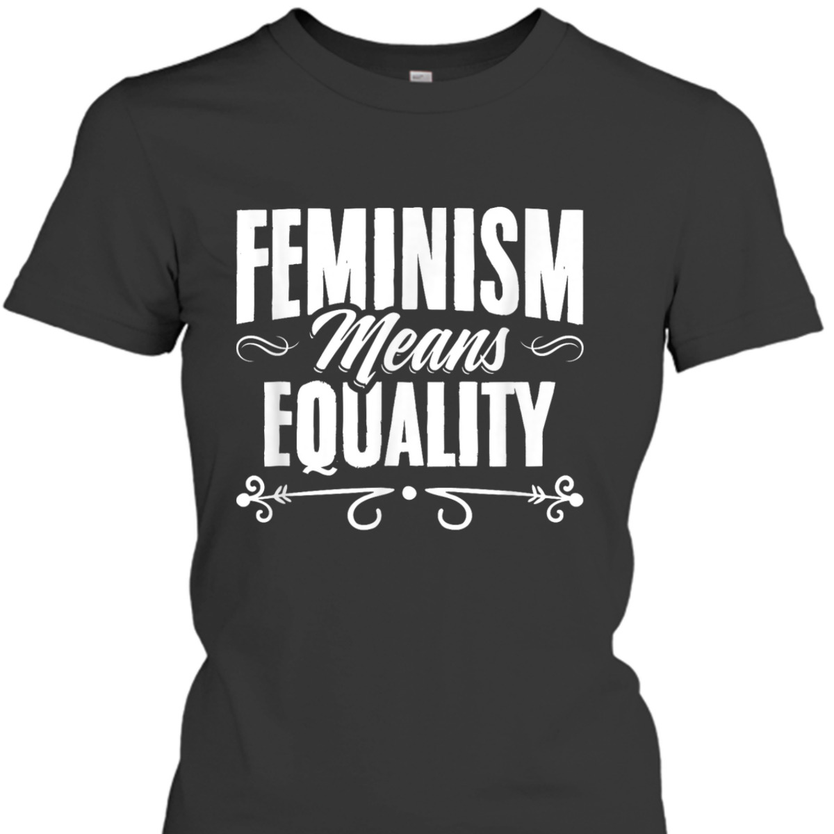 Feminism Means Equality Womens Right Feminism Feminist T-Shirt Feminism Means Equality Womens Right Feminism Feminist T-Shirt