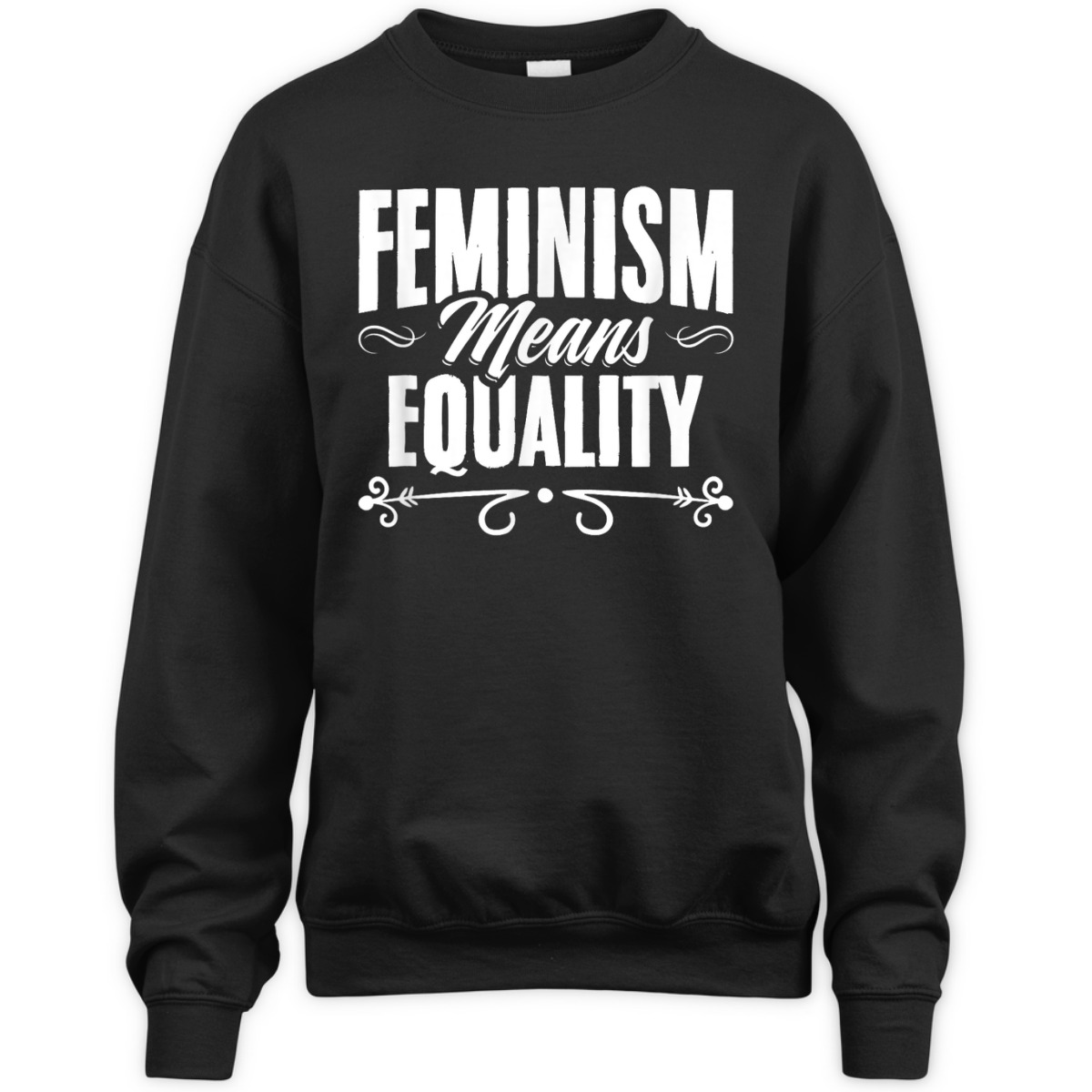 Feminism Means Equality Womens Right Feminism Feminist T-Shirt Feminism Means Equality Womens Right Feminism Feminist T-Shirt