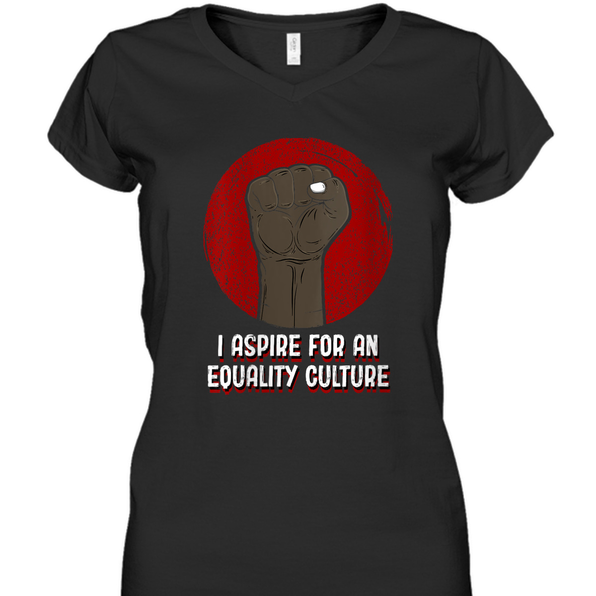 Womens I Aspire For An Equality Culture Social Justice T-Shirt
