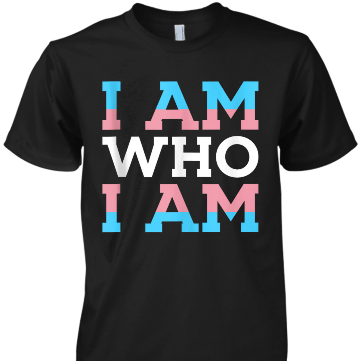 I Am Who I Am Gay Rights LGBTQ Month Gender Equality T-Shirt
