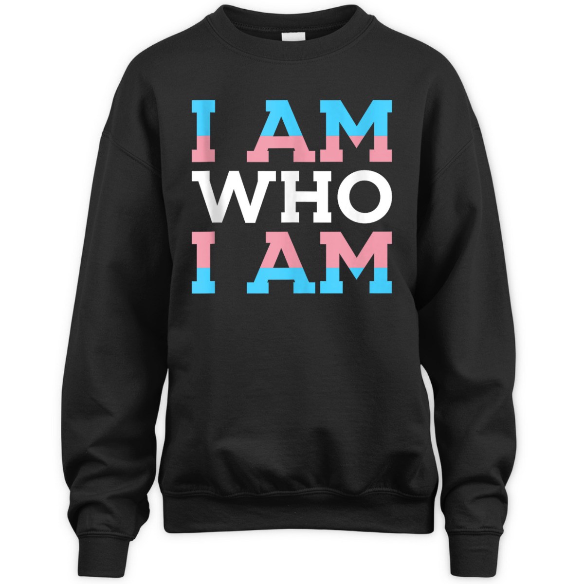 I Am Who I Am Gay Rights LGBTQ Month Gender Equality T-Shirt