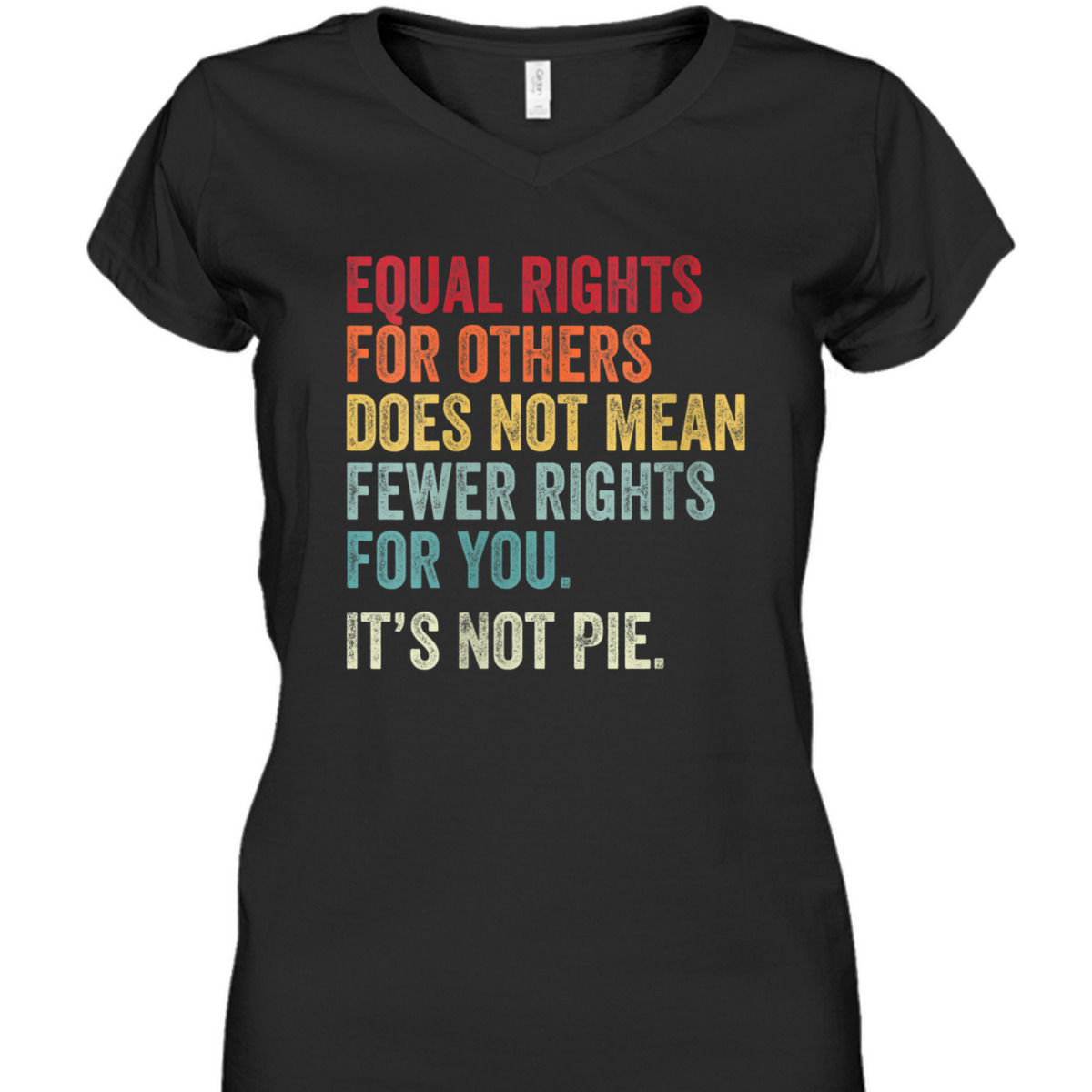 Womens Equal Rights For Others Does Not Mean - EQUALITY T-Shirt