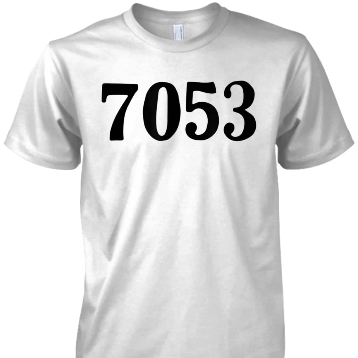7053 Equality Rosa Freedom Civil Rights Parks Afro T-Shirt 7053 Equality Rosa Freedom Civil Rights Parks Afro T-Shirt