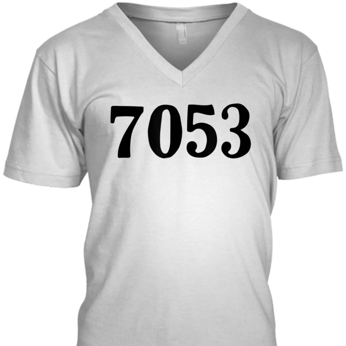7053 Equality Rosa Freedom Civil Rights Parks Afro T-Shirt 7053 Equality Rosa Freedom Civil Rights Parks Afro T-Shirt