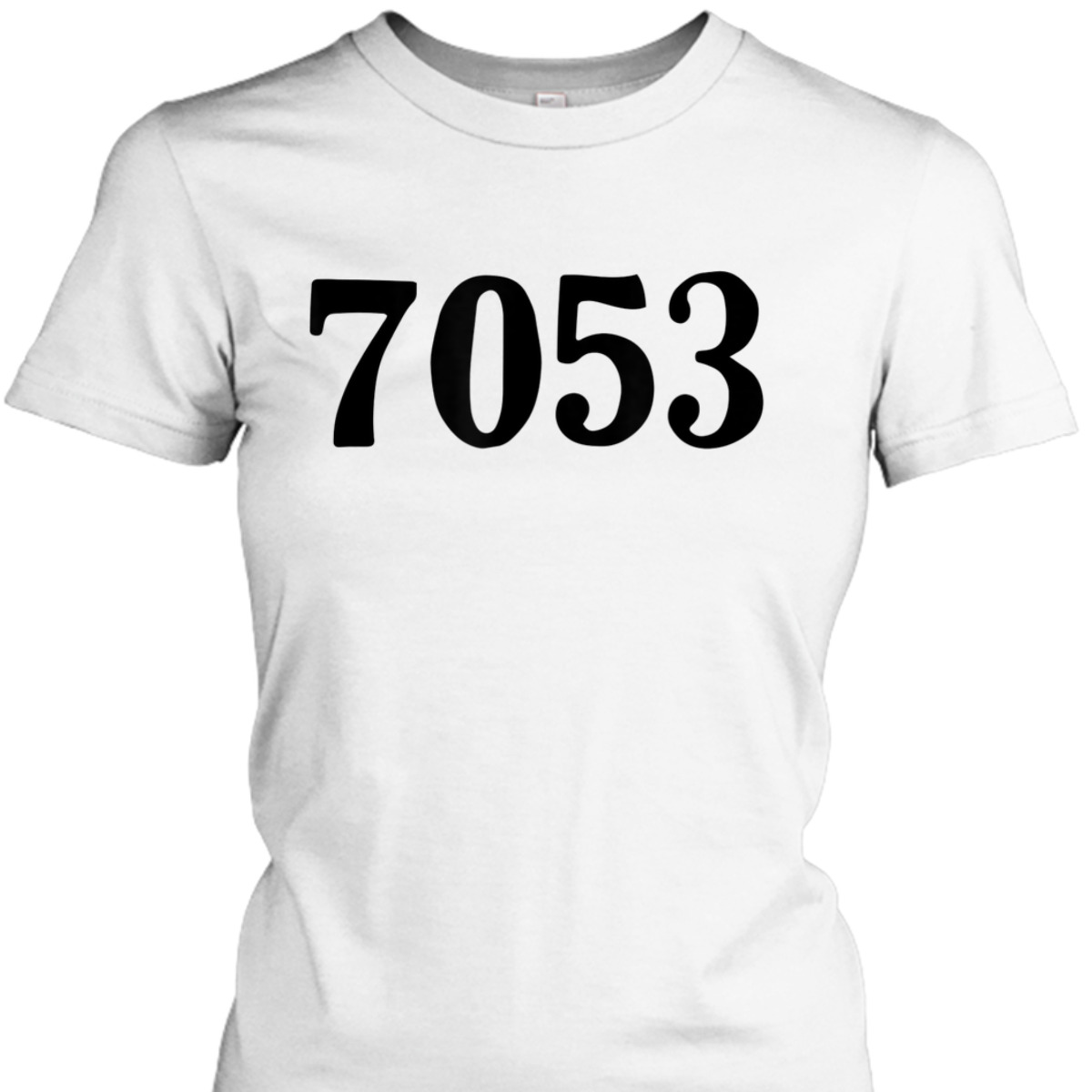 7053 Equality Rosa Freedom Civil Rights Parks Afro T-Shirt