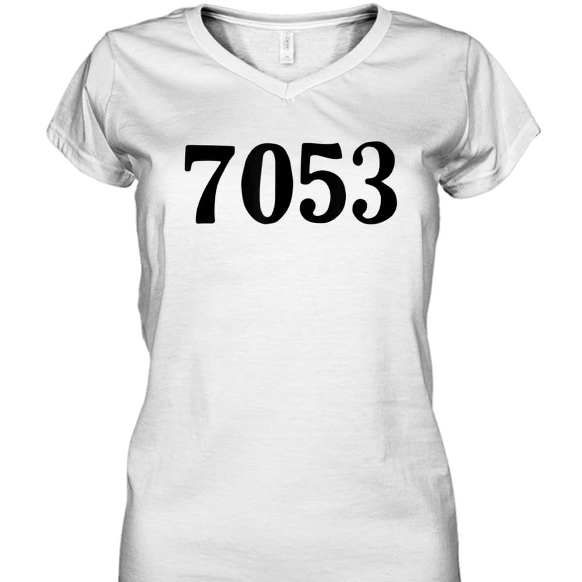 7053 Equality Rosa Freedom Civil Rights Parks Afro T-Shirt 7053 Equality Rosa Freedom Civil Rights Parks Afro T-Shirt