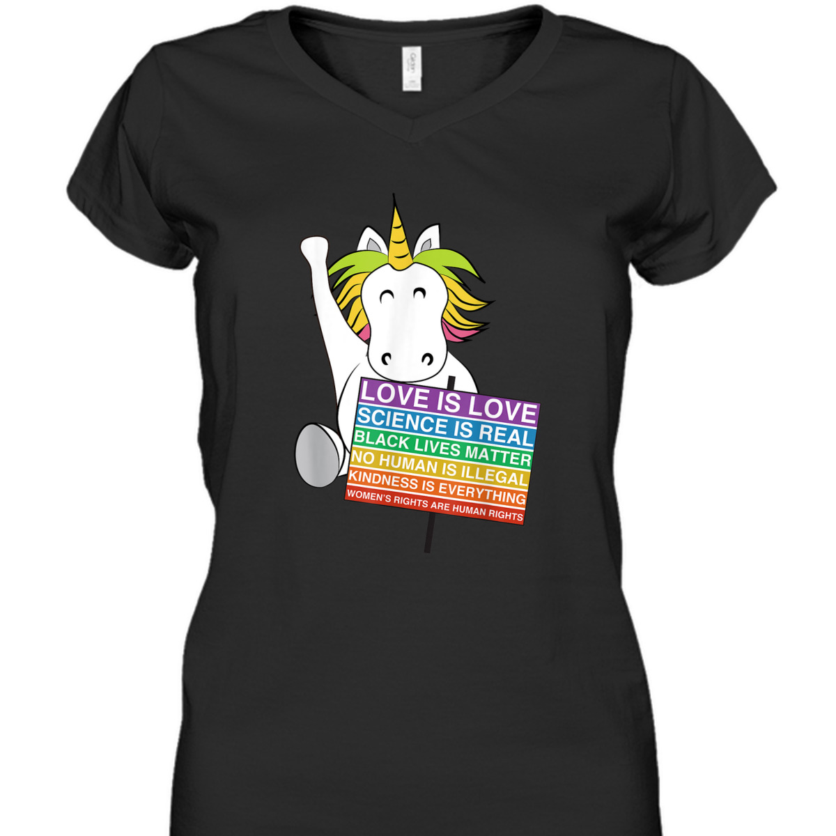 Human Rights Unicorn Equality Social Justice Womens T-Shirt