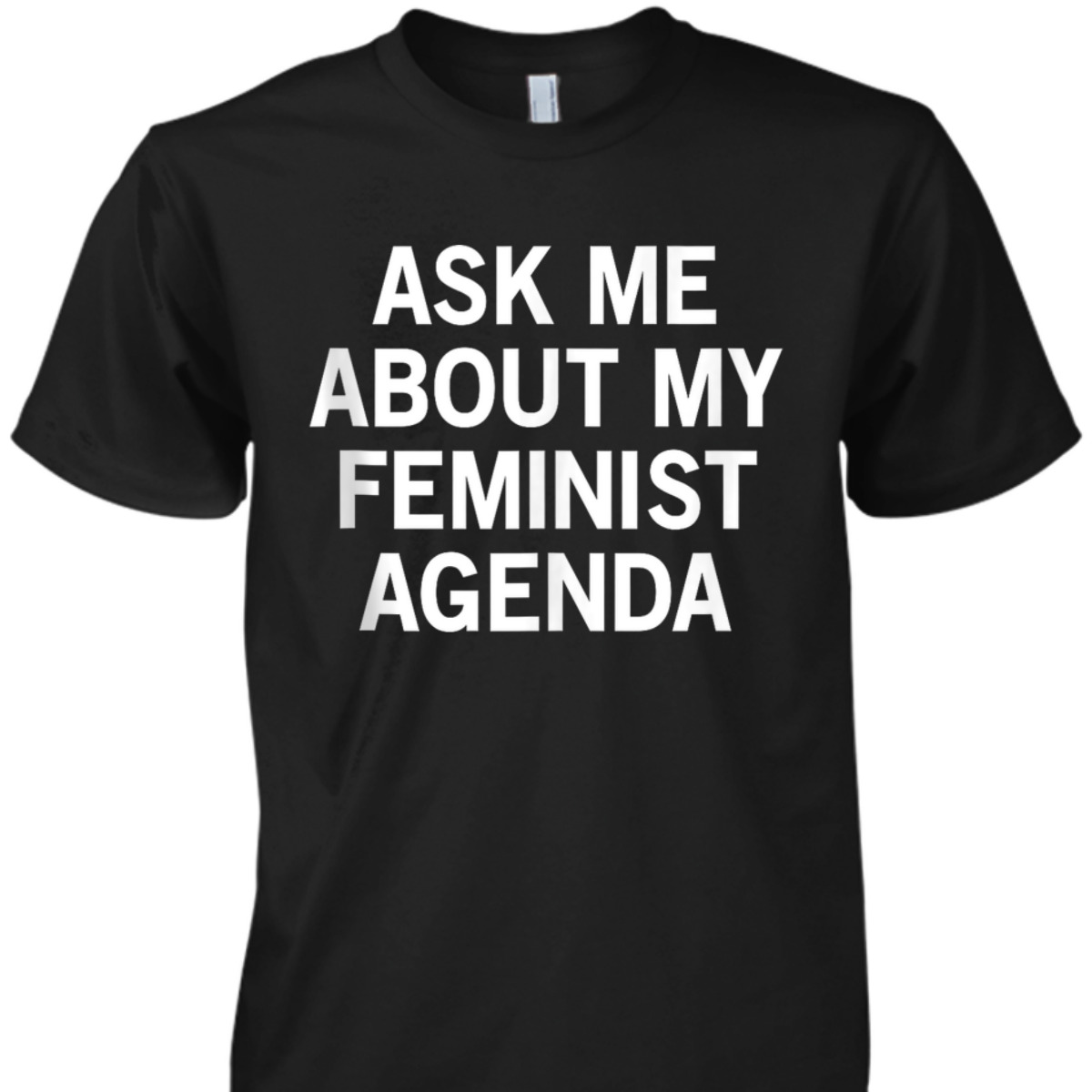 Ask Me About My Feminist Agenda T-Shirt