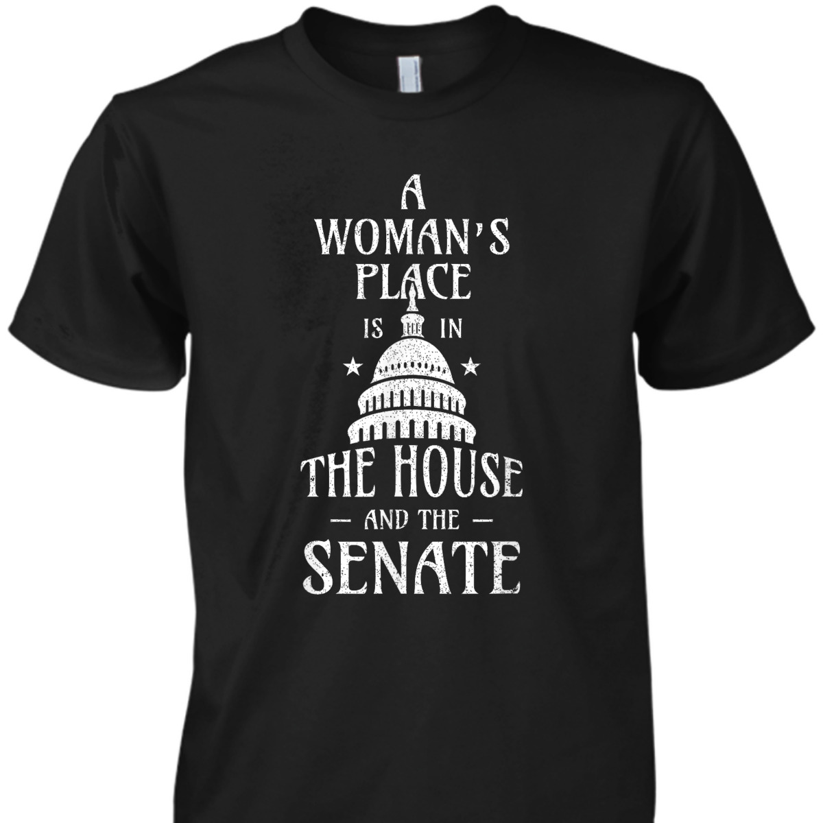 A Womans Place Is In The House And The Senate Feminist T-Shirt