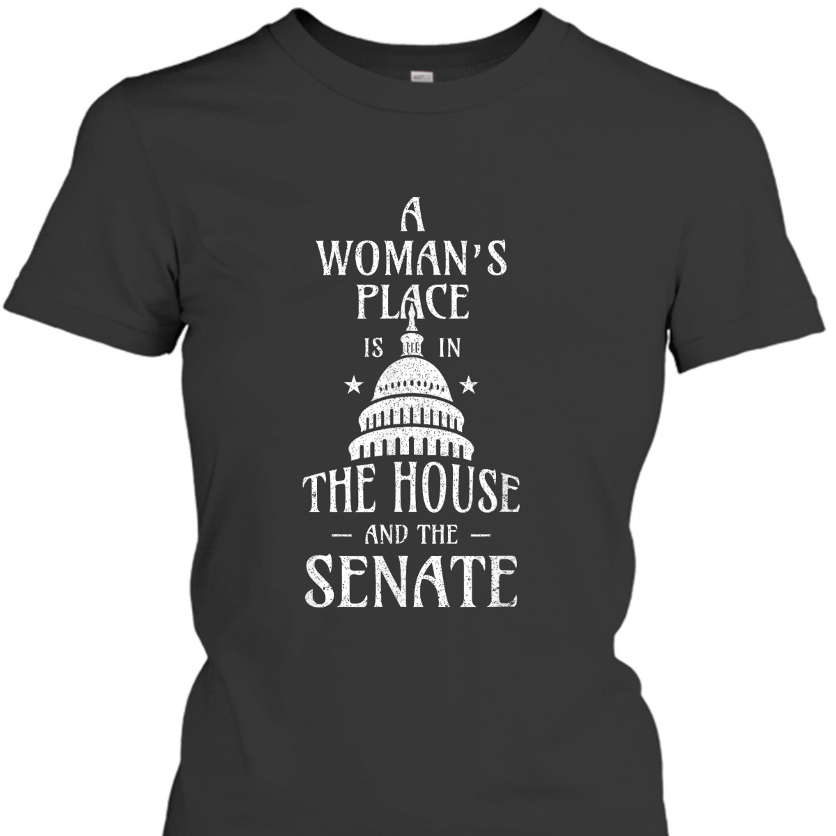 A Womans Place Is In The House And The Senate Feminist T-Shirt