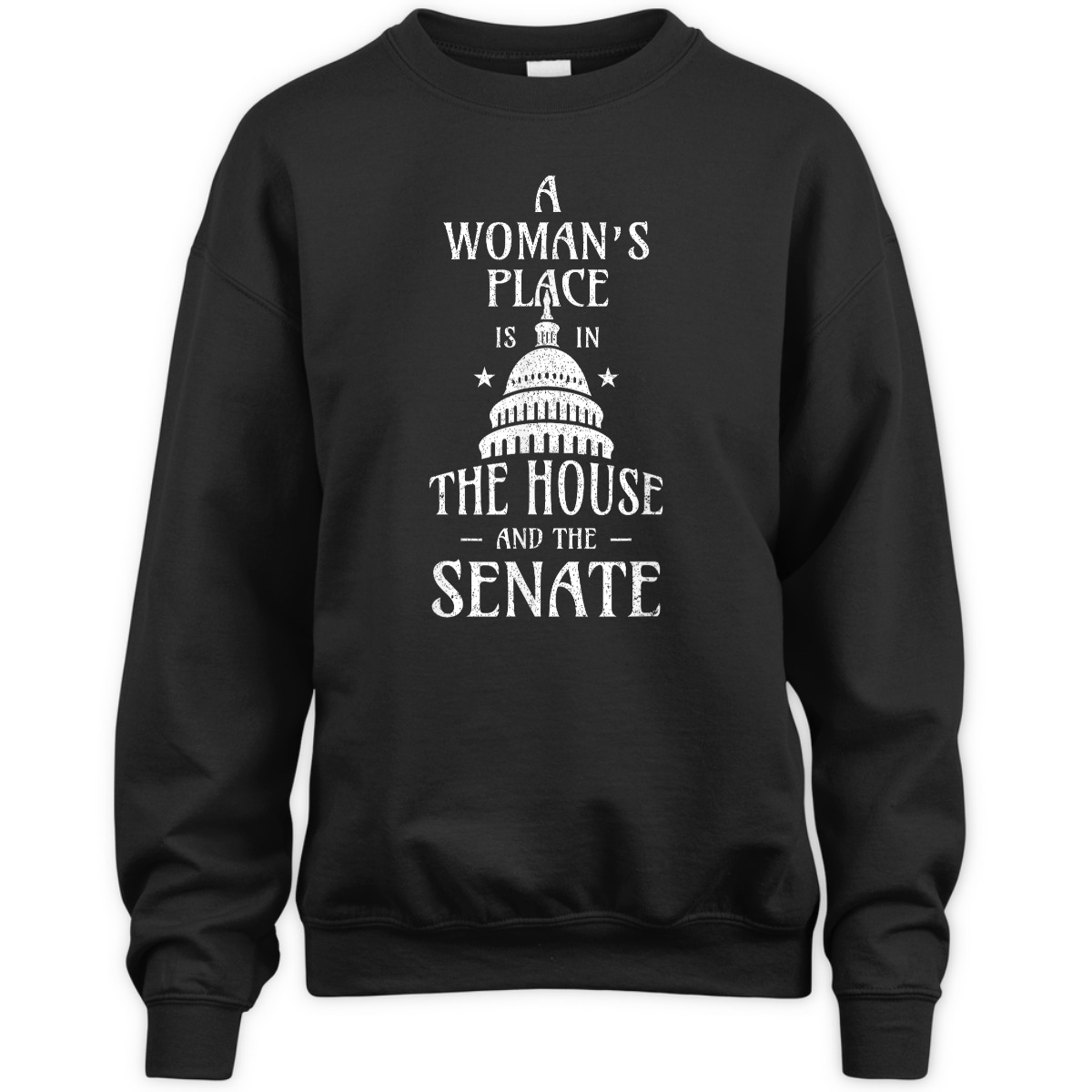 A Womans Place Is In The House And The Senate Feminist T-Shirt A Womans Place Is In The House And The Senate Feminist T-Shirt