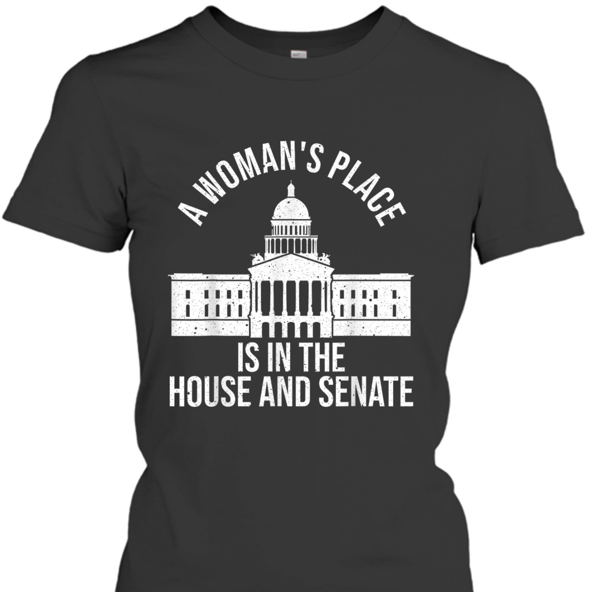 Cool Feminist Voter Empowerment Feminism T-Shirt Cool Feminist Voter Empowerment Feminism T-Shirt