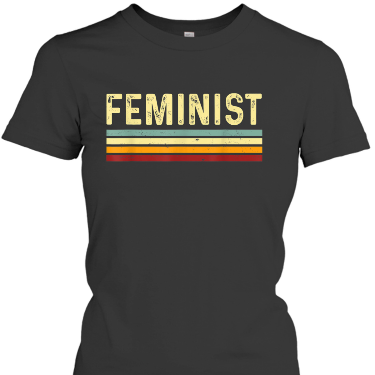 Vintage Feminist Feminism Rights T-Shirt