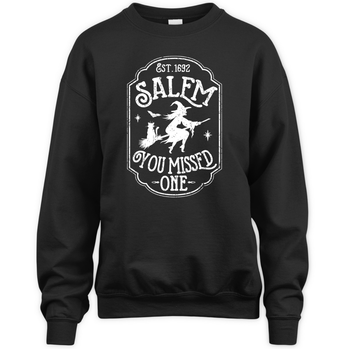 Salem You Missed One Halloween Feminist Salem Witch Trials T-Shirt Salem You Missed One Halloween Feminist Salem Witch Trials T-Shirt
