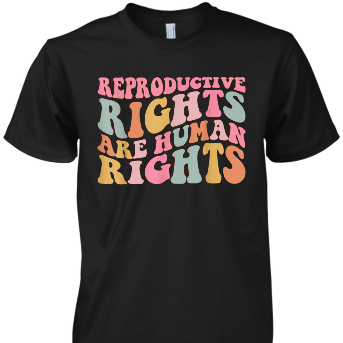 Reproductive Rights Are Human Rights Feminist T-Shirt Reproductive Rights Are Human Rights Feminist T-Shirt