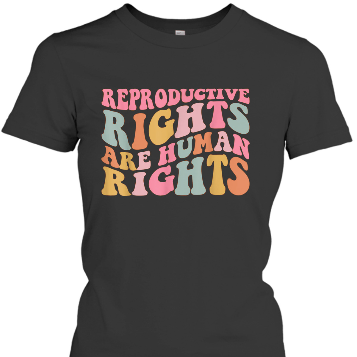 Reproductive Rights Are Human Rights Feminist T-Shirt