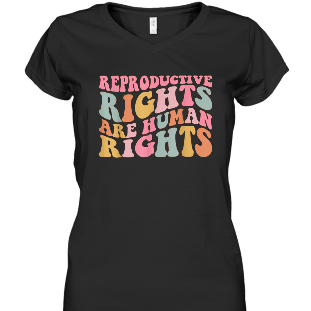 Reproductive Rights Are Human Rights Feminist T-Shirt