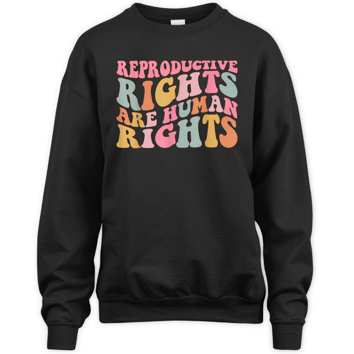 Reproductive Rights Are Human Rights Feminist T-Shirt