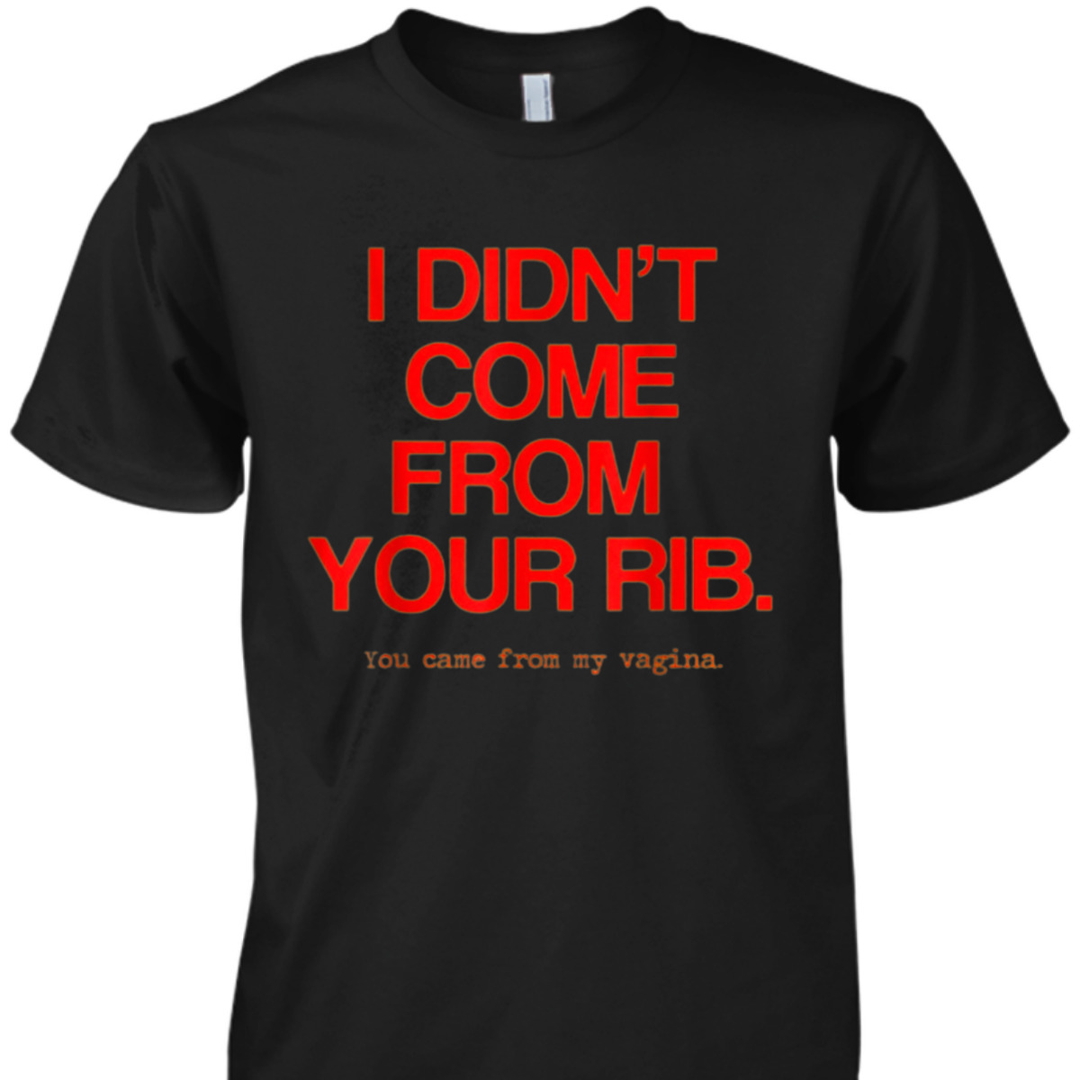 Feminist Women I Didn't Come From Your Rib Best Present T-Shirt