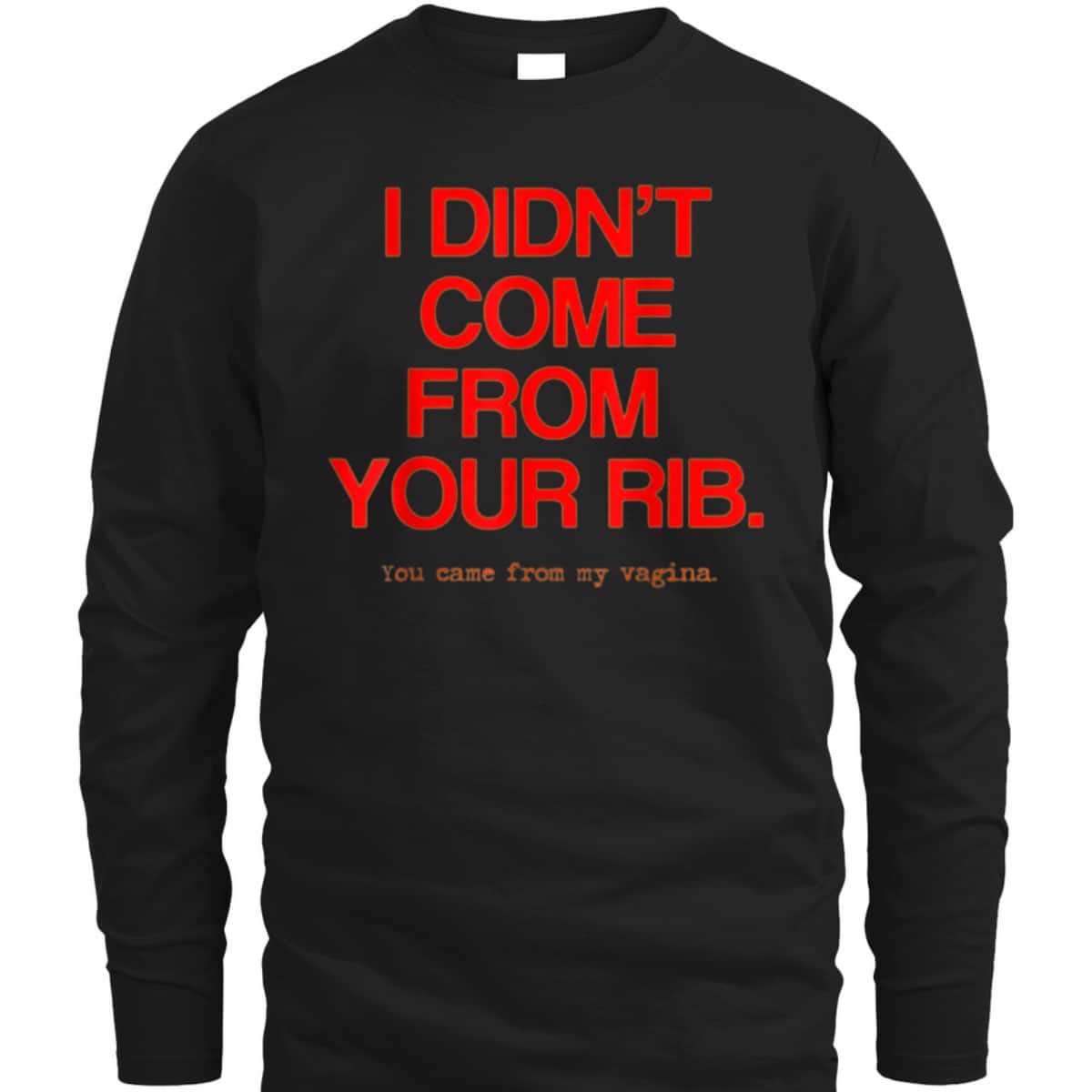 Feminist Women I Didn't Come From Your Rib Best Present T-Shirt
