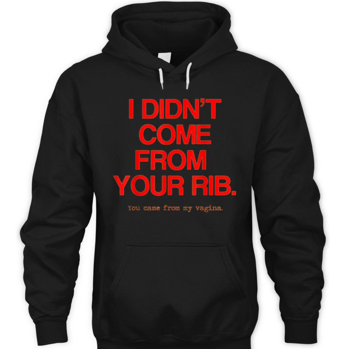 Feminist Women I Didn't Come From Your Rib Best Present T-Shirt