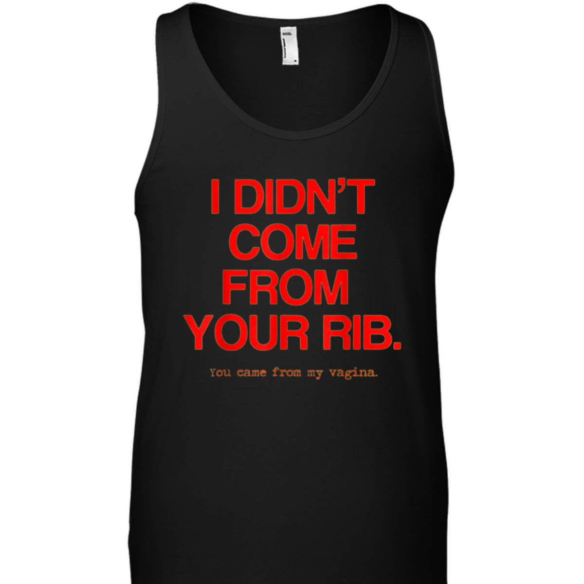 Feminist Women I Didn't Come From Your Rib Best Present T-Shirt