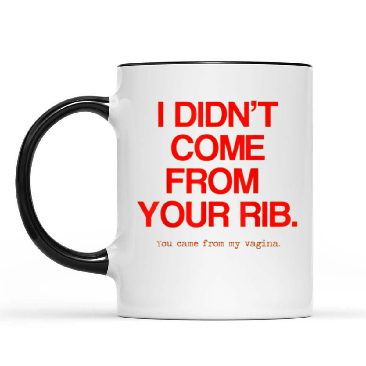 Feminist Women I Didn't Come From Your Rib Best Present T-Shirt